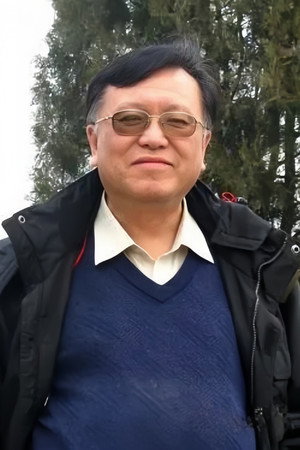 白羽